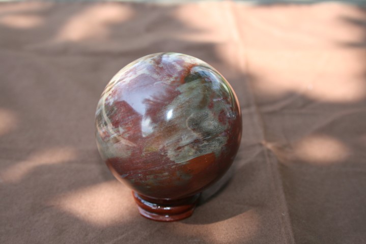 Petrified wood Sphere  calms nerves and fears 4334